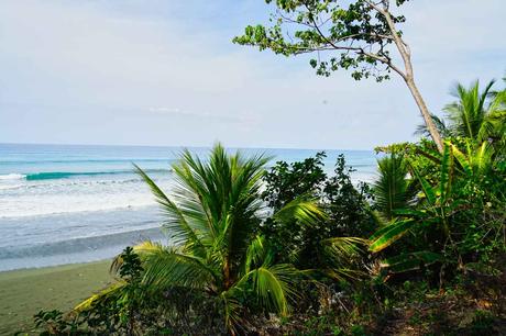 Natur pur im Corcovado Nationalpark auf der Halbinsel Osa