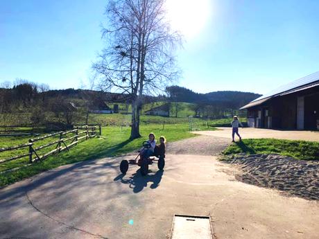 Urlaub auf dem Bauernhof - Schweizermichelhof im Schwarzwald