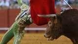 Mallorca vor Stierkampfverbot: Schluss mit Fiesta?