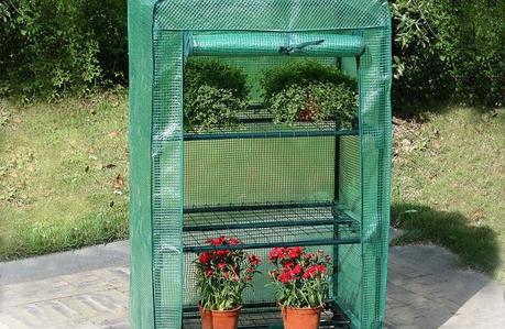 Gewächshaus klein besonders für Stecklinge und Setzlinge geeignet