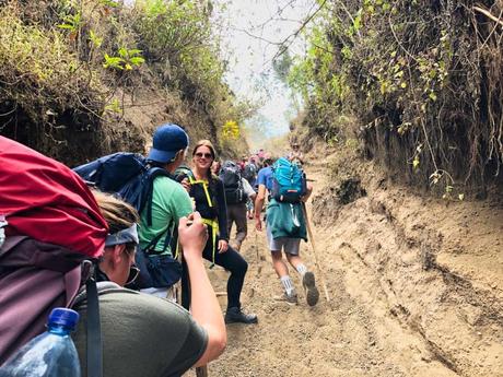Eine Wanderung auf den Acatenango – Reisebericht aus Antigua