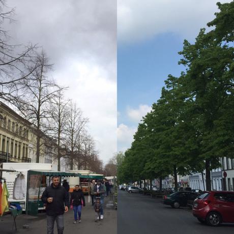 12tel-Blick im April 2019 – oder – Der Frühling hat ganze Arbeit geleistet.