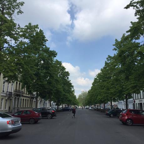 12tel-Blick im April 2019 – oder – Der Frühling hat ganze Arbeit geleistet.