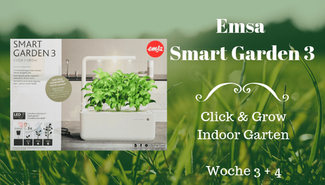 Emsa Smart Garden 3 – Woche 3+4