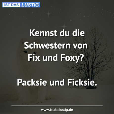 Lustiger BilderSpruch - Kennst du die Schwestern von Fix und Foxy?...