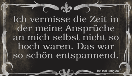 Lustiger BilderSpruch - Ich vermisse die Zeit in der meine Ansprüche an...