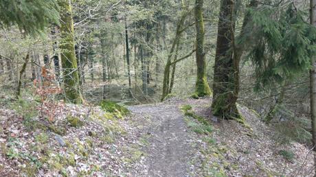 Wandern auf dem Traumpfad Waldschluchtenweg