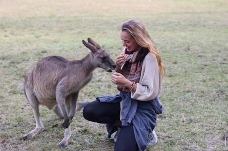 So bekommst du ein Work and Travel Visum für Australien