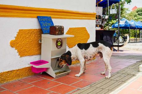 Guatape und der einsame Fells El Penol