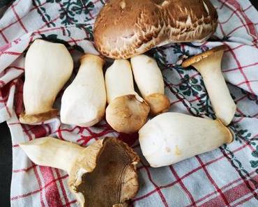 Pulled Mushroom BBQ Burger