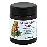 Murmeltier Salbe 100 ml