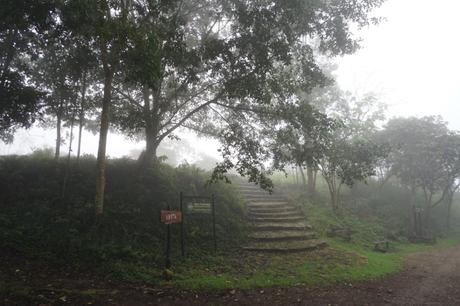 Der Chicaque Nebelwald bei Bogota – Ein Reisebericht.