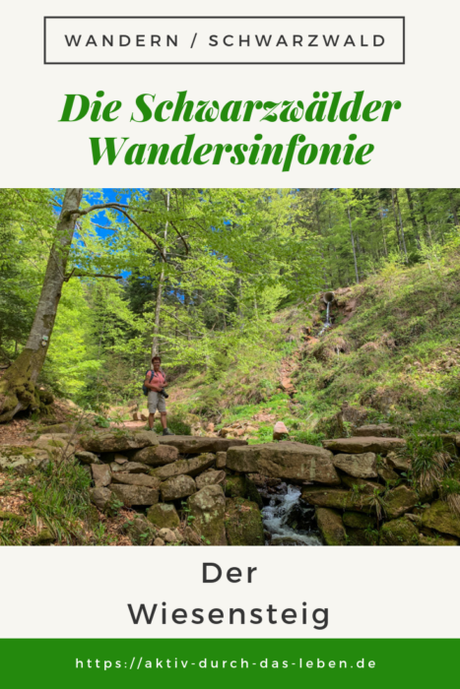 Schwarzwälder Wandersinfonie, Akt 2: Der Wiesensteig