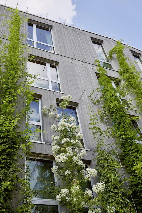 Das Green City Hotel Vauban verbindet Nachhaltigkeit und Inklusion