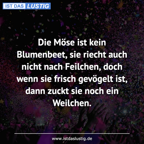 Lustiger BilderSpruch - Die Möse ist kein Blumenbeet, sie riecht auch...