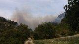 Waldbrand in Son Ordines durch die “Verbrennung von Stoppeln” verursacht