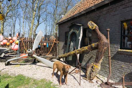 Zwei hundefreundliche Museen auf Texel