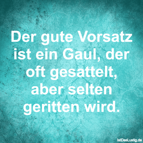 Lustiger BilderSpruch - Der gute Vorsatz ist ein Gaul, der oft...