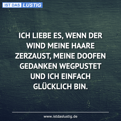 Lustiger BilderSpruch - ICH LIEBE ES, WENN DER WIND MEINE HAARE...