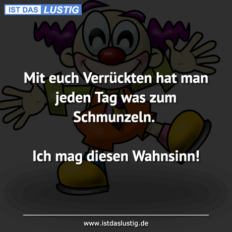 Lustiger BilderSpruch - Mit euch Verrückten hat man jeden Tag was zum...