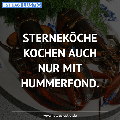 Lustiger BilderSpruch - STERNEKÖCHE KOCHEN AUCH NUR MIT HUMMERFOND.