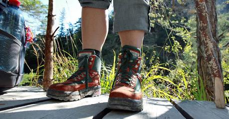 Neues Mobilitätsangebot im  Naturpark Ötscher-Tormäuer