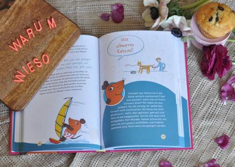 Frag doch mal die Maus - Sachbücher für Leseanfänger, die auf viele Kinderfragen eine Antwort wissen. #kinderbuch #sachbuch #lesen #schule #grundschule #fragen #diemaus #maus #wissen
