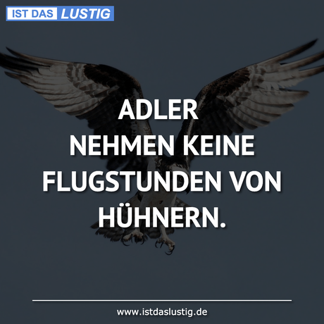 Lustiger BilderSpruch - ADLER NEHMEN KEINE FLUGSTUNDEN VON HÜHNERN.