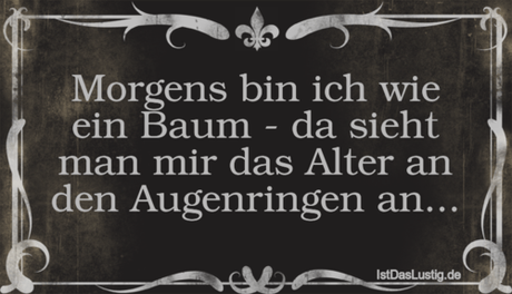 Lustiger BilderSpruch - Morgens bin ich wie ein Baum - da sieht man mir...