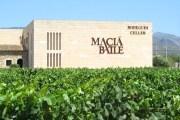 Bodegues Macià Batle erhält “Premio a la Excelencia Empresarial 2019”