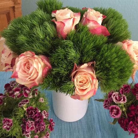 Friday-Flowerday – oder – Rosen und Nelken, eine gute Mischung