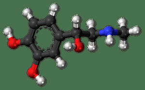 Mönchspfeffer Hormonhaushalt regulieren