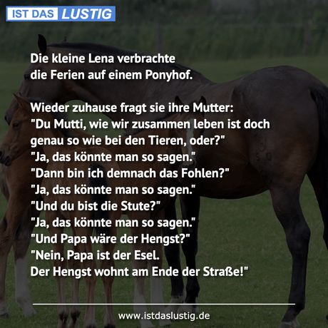 Lustiger BilderSpruch - Die kleine Lena verbrachte die Ferien auf einem...