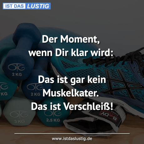 Lustiger BilderSpruch - Der Moment, wenn Dir klar wird:  Das ist gar...