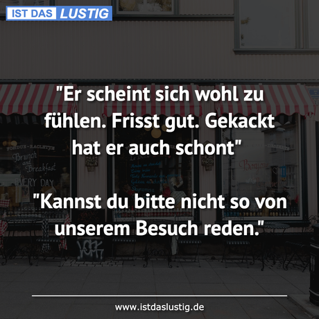 scheint sich wohl fühlen. Frisst gut....