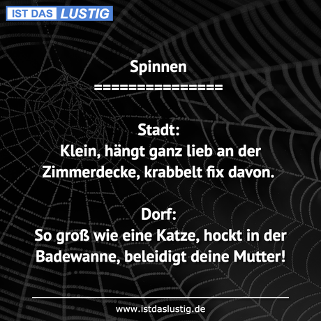 Lustiger BilderSpruch - Spinnen ===============  Stadt: Klein, hängt...