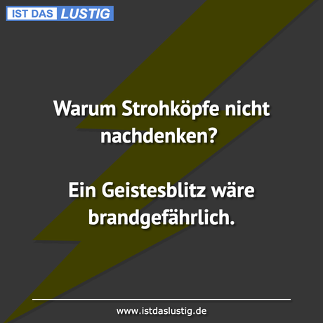 Lustiger BilderSpruch - Warum Strohköpfe nicht nachdenken?  Ein...