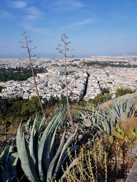Athen in drei Tagen: Geheimtipps und kulinarische Highlights