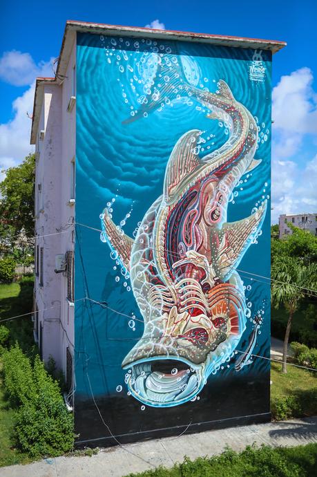 Meere retten mit Kunst - Sea Walls - Fisch im Meer