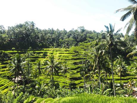 Rundreise auf Bali und Lombok: Teil 1/3