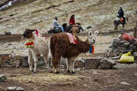 Die Rainbow Mountains in Peru