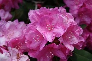 Tagebuchnotizen zum Buch DAS ESELSKIND - Werner, warum hast Du eigentlich Theologie studiert?