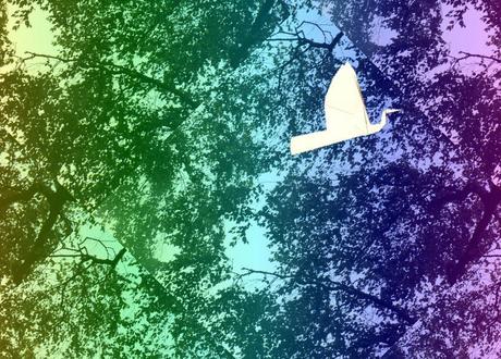 Auf Birdmania lassen sich Origami Vögel gen Himmel fliegen lassen