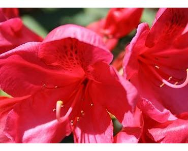 Ergreife die Chancen und Möglichkeiten, wenn sie sich Dir bieten!