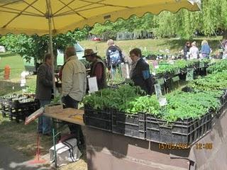 Kräutermarkt in Braunfels,