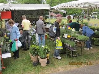 Kräutermarkt in Braunfels,