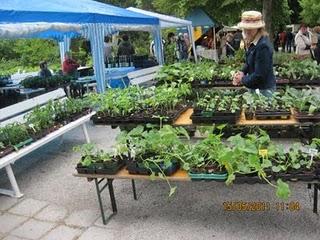 Kräutermarkt in Braunfels,