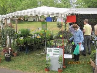 Kräutermarkt in Braunfels,