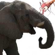 Sag mal, glaubst Du das?