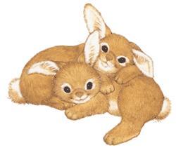 Bio-Fenchel? – Nein Danke! Teil 2